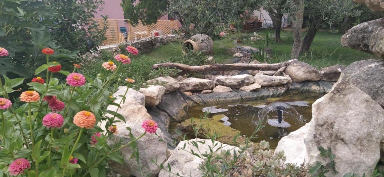 Albero Della Musica Bed & Breakfast Sassari Dış mekan fotoğraf