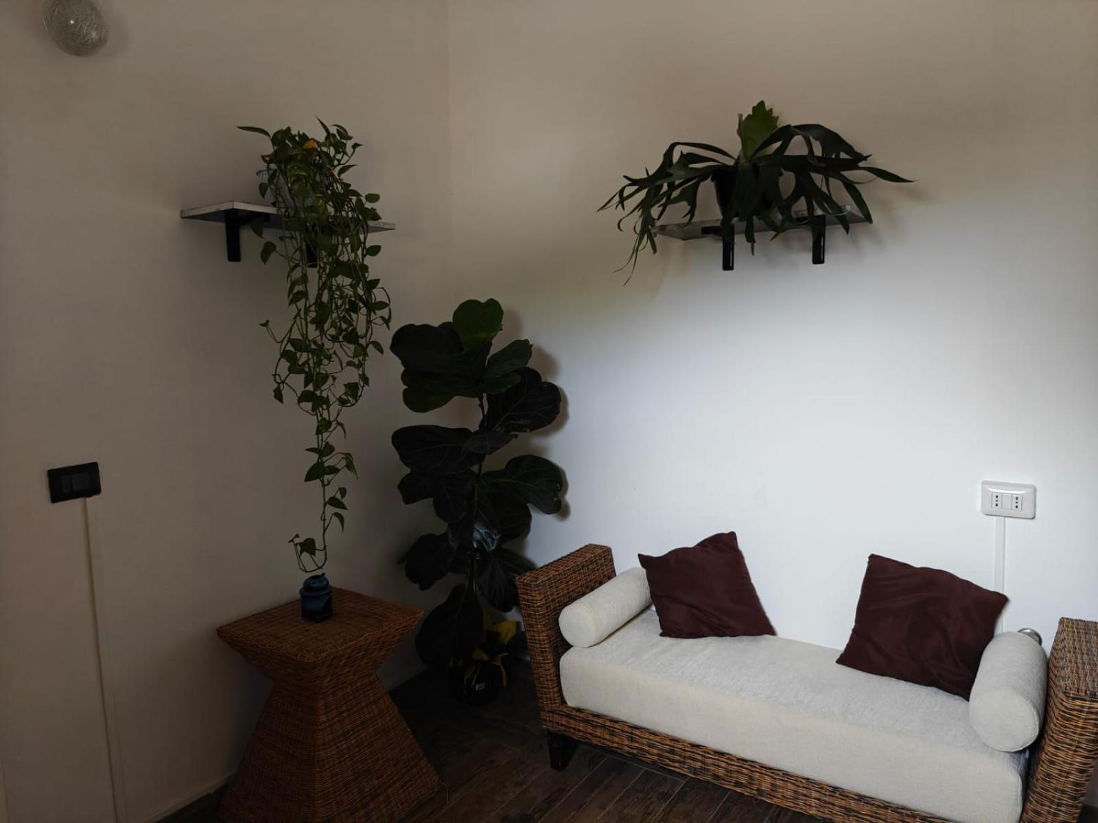 Albero Della Musica Bed & Breakfast Sassari Dış mekan fotoğraf